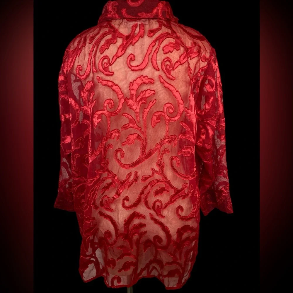 Coldwater Creek Red Sheer Oversized Blouse Women’s Size 18 - Picture 2 of 4